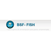 BSF FISH