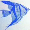 JR TROPICAL FISH LTDA