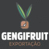 GENGIFRUIT EXPORT