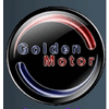 GOLDEN MOTOR TECHNOLOGY CO LTD